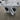 Whirlpool 27" Washer - Whirlpool 27" Dryer - White - Refurbished
